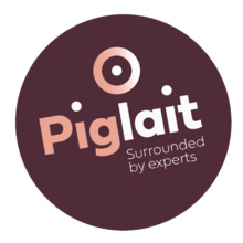 Piglait