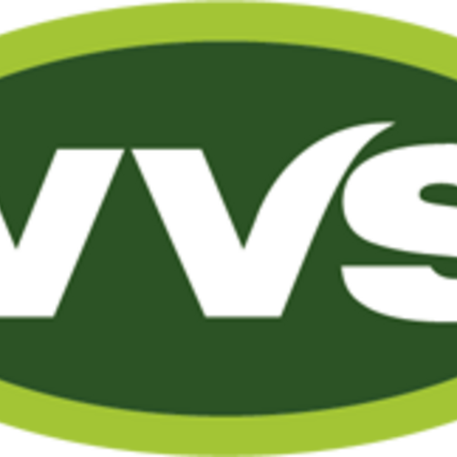 VVS