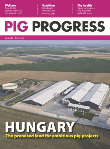 pig_progress.png