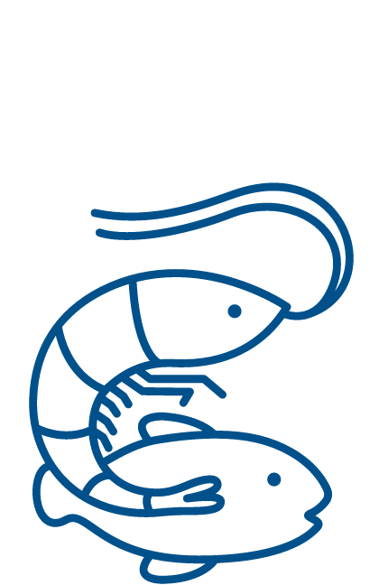 fish and shrimp blue