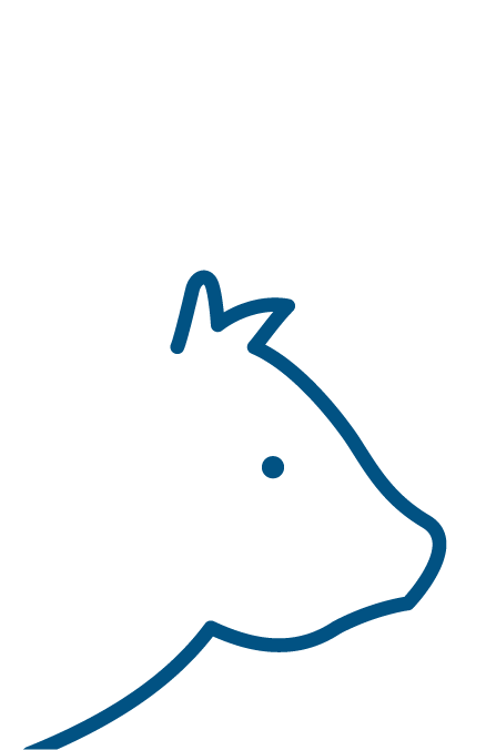 calf - blue